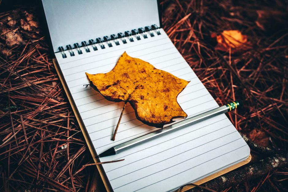 Close-up of a yellow autumn leaf on a notepad with a pencil, surrounded by pine needles.